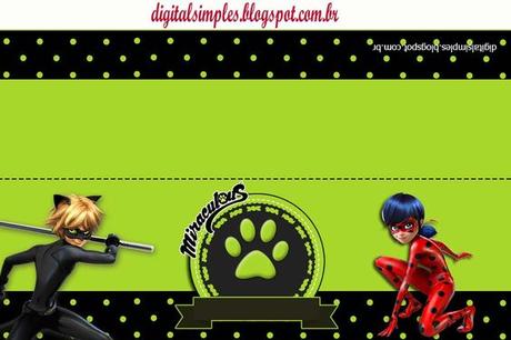 Kit festa de AniversÃ¡rio Desenho Miraculous As aventuras de Ladybug e Cat Noir, para meninos.