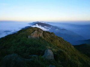 ¡tanta Información Y Menos Aprendizaje!