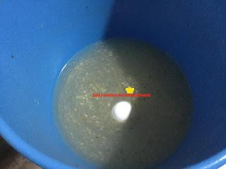 ACEITUNAS VERDIALES ALIÑADAS