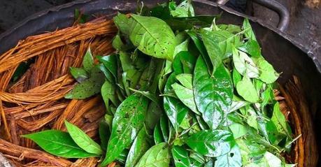 Qué efecto tiene la ayahuasca