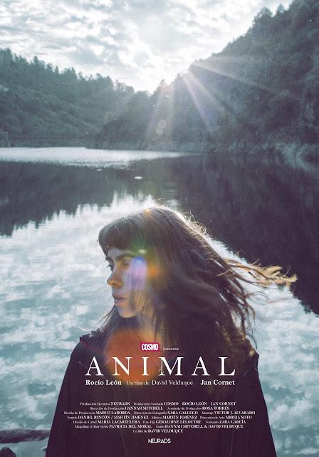 Animal (Cortometraje)