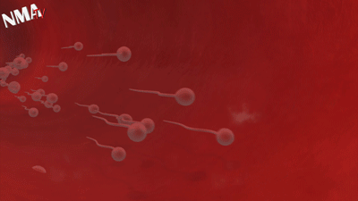 ¿Cómo evitaban los bebés egipcios y romanos? Métodos anticonceptivos en la Antigüedad