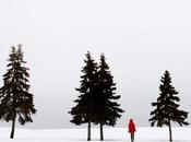 aquellos ALARIDOS, estos SILENCIOS.