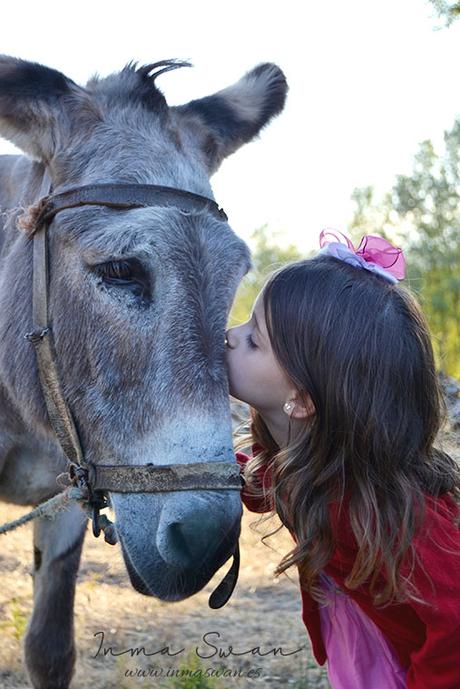 Fotografía | Animales