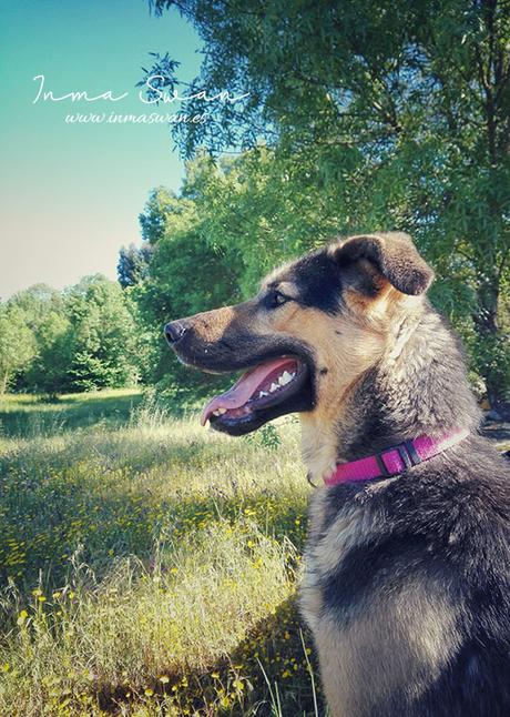 Fotografía | Animales