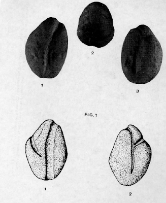 El Idolo de Pradillo, Quintanar de la Orden