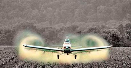 El Glifosato es el plaguicida de mayor uso en Argentina y en el mundo. Es un herbicida sistémico, no selectivo y de amplio espectro que actúa inhibiendo competitivamente a la enzima “EPSPS” de plantas y microorganismos