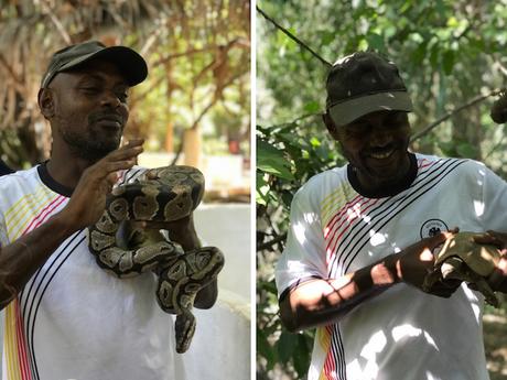 GAMBIA: Qué visitar y donde comer | PARTE I