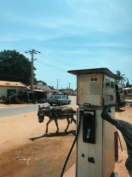 GAMBIA: Qué visitar y donde comer | PARTE I