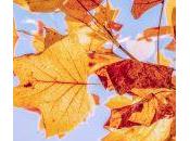 Diferencias entre regresión clasificación aprendizaje automático