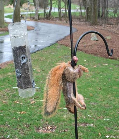 Personas que tuvieron un mal momento   (fotos de un mal día)