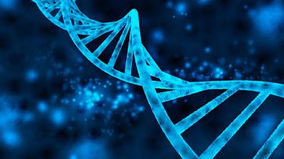 Modifican ADN en bebés para que no padezca VIH-TuParadaDigital