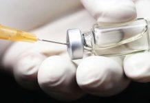 Infección por Clostridium difficile en adultos: tratamiento y prevención