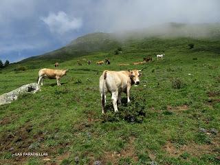 Alto´l Palo-La Val.lota-El Negrón-La Cruz del Ciegu-El Cabril-Fasgar-Cuayos