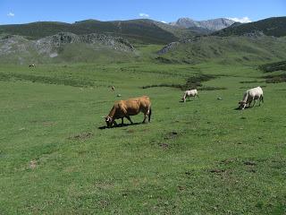 Alto´l Palo-La Val.lota-El Negrón-La Cruz del Ciegu-El Cabril-Fasgar-Cuayos