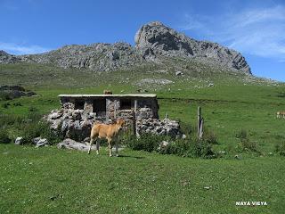 Alto´l Palo-La Val.lota-El Negrón-La Cruz del Ciegu-El Cabril-Fasgar-Cuayos