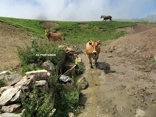 Alto´l Palo-La Val.lota-El Negrón-La Cruz del Ciegu-El Cabril-Fasgar-Cuayos