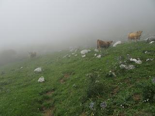 Alto´l Palo-La Val.lota-El Negrón-La Cruz del Ciegu-El Cabril-Fasgar-Cuayos