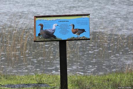 Laguna de Rosales