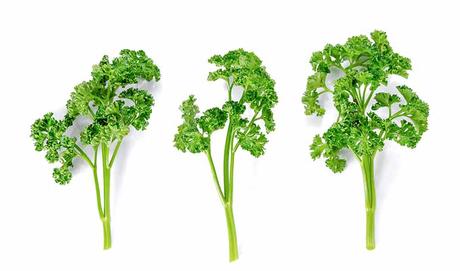 Remedio casero para la cefalea de perejil - Trucos de salud caseros Remedio casero para la cefalea de perejil - Trucos de salud caseros