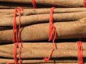 Canela para acabar diarrea