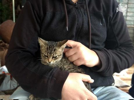 Zasca de ida y vuelta Zasca de ida y vuelta