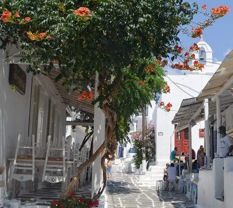 Despedirse de Grecia en Mykonos