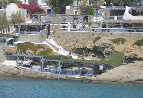 Despedirse de Grecia en Mykonos