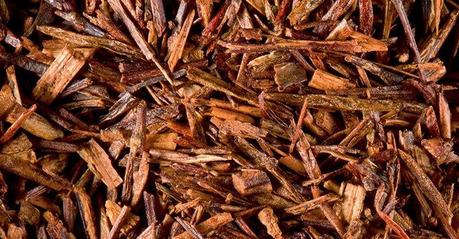 Rooibos Beneficios del rooibos