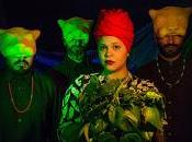 Combo Chimbita estrena Testigo