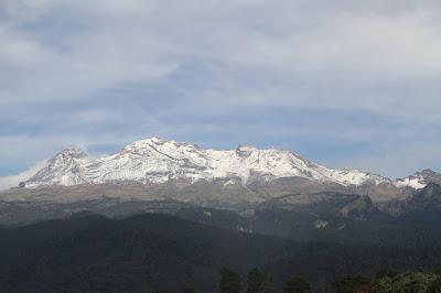 Nuestra tradicional visita al Bosque de los Árboles de Navidad