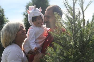Nuestra tradicional visita al Bosque de los Árboles de Navidad