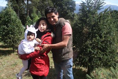 Nuestra tradicional visita al Bosque de los Árboles de Navidad Nuestra tradicional visita al Bosque de los Árboles de Navidad