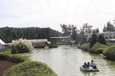 Nuestra tradicional visita al Bosque de los Árboles de Navidad Nuestra tradicional visita al Bosque de los Árboles de Navidad