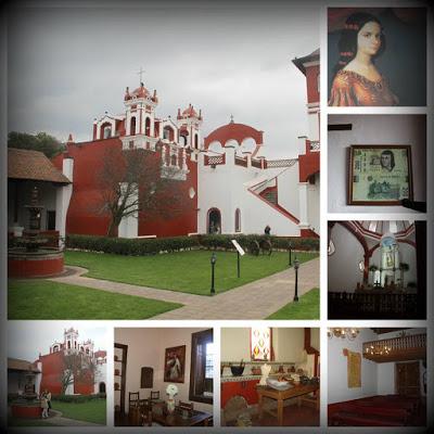 Nuestra tradicional visita al Bosque de los Árboles de Navidad Nuestra tradicional visita al Bosque de los Árboles de Navidad