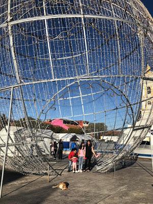 Nuestra tradicional visita al Bosque de los Árboles de Navidad Nuestra tradicional visita al Bosque de los Árboles de Navidad