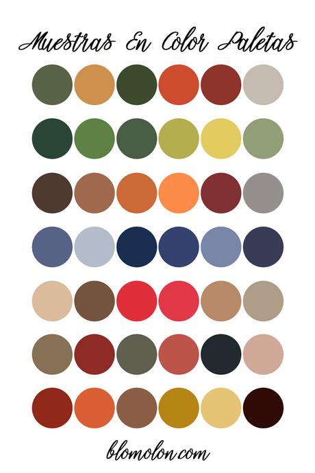 Variedad En Color 12 Paletas & Muestras