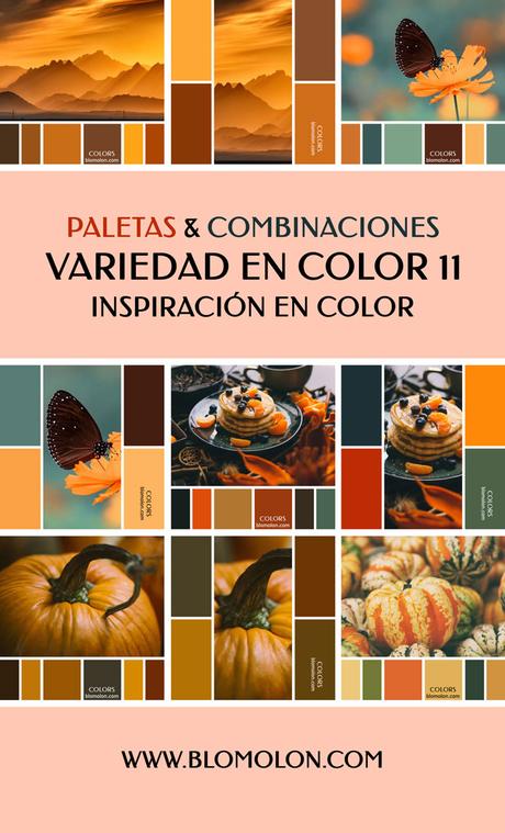 Variedad En Color 12 Paletas & Muestras Variedad En Color 12 Paletas & Muestras