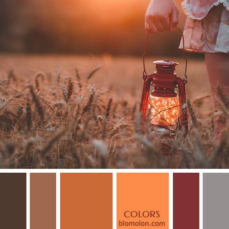 Variedad En Color 12 Paletas & Muestras Variedad En Color 12 Paletas & Muestras