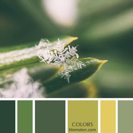 Variedad En Color 12 Paletas & Muestras Variedad En Color 12 Paletas & Muestras