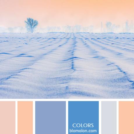 Variedad En Color 12 Paletas & Muestras Variedad En Color 12 Paletas & Muestras