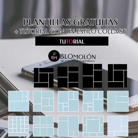 Variedad En Color 12 Paletas & Muestras Variedad En Color 12 Paletas & Muestras