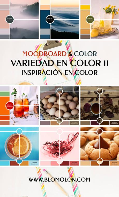 Variedad En Color 12 Paletas & Muestras Variedad En Color 12 Paletas & Muestras