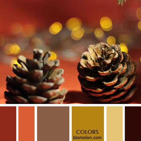 Variedad En Color 12 Paletas & Muestras Variedad En Color 12 Paletas & Muestras