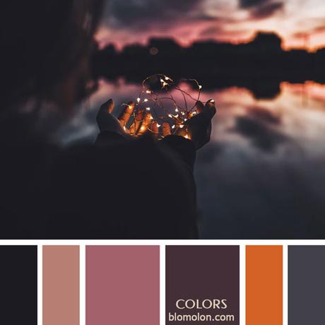 Variedad En Color 12 Paletas & Muestras Variedad En Color 12 Paletas & Muestras