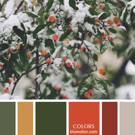 Variedad En Color 12 Paletas & Muestras Variedad En Color 12 Paletas & Muestras