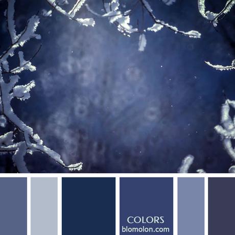 Variedad En Color 12 Paletas & Muestras Variedad En Color 12 Paletas & Muestras