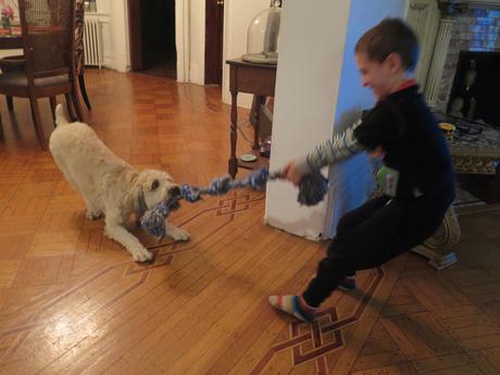 Cosas que voy a extrañar de Nueva York