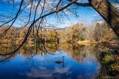 Paseando a finales de otoño por Graugés y sus lagos desde Avià