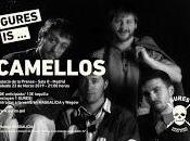 Camellos Sala